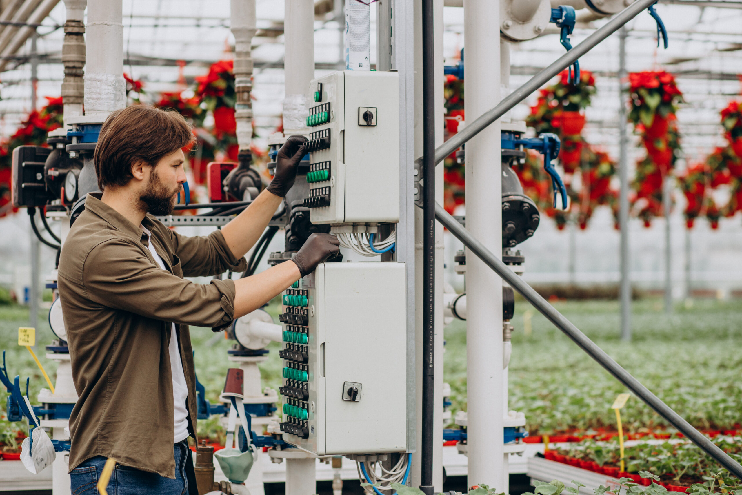 Man Florist Working Green House Scaled